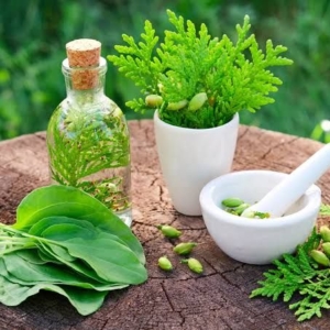 بهبود کبد چرب الماس رویال