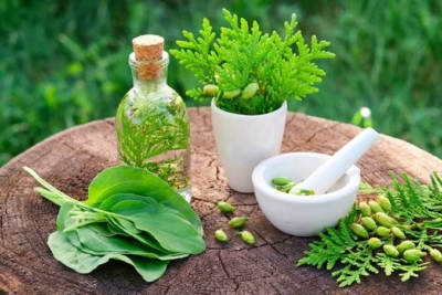 بهبود کبد چرب الماس رویال